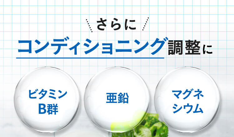 さらにコンディショニング調整に,ビタミンB群,亜鉛,マグネシウム