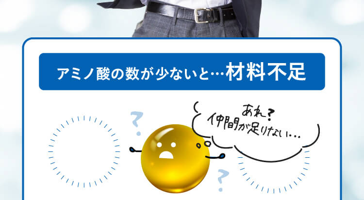 アミノ酸の数が少ないと・・・材料不足　あれ？仲間が足りない・・・