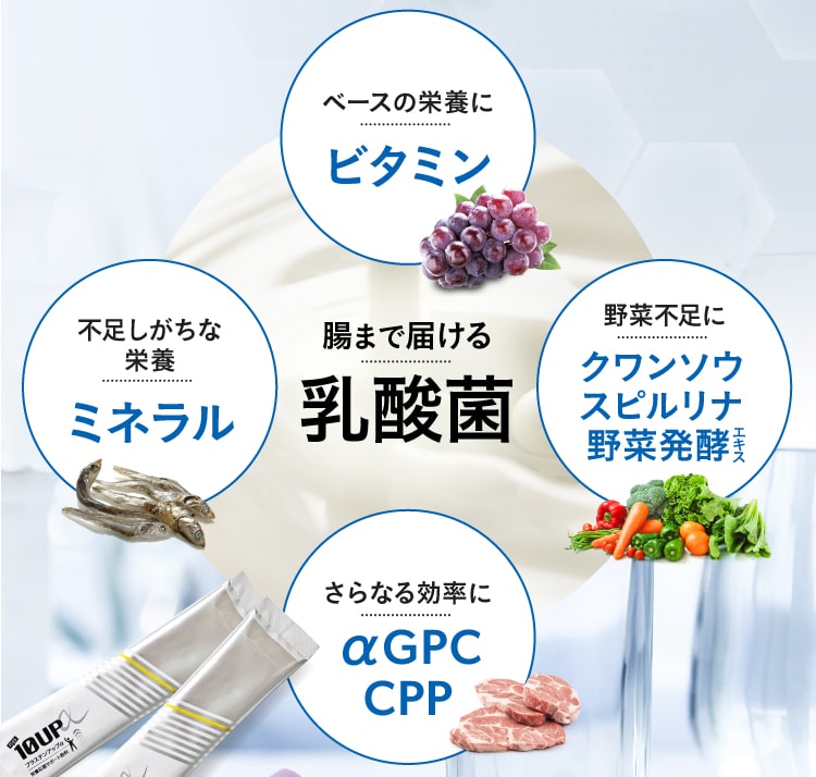ベースの栄養にビタミン、不足しがちな栄養　ミネラル、野菜不足にクワンソウ、スピルリナ、野菜発酵エキス、腸まで届ける乳酸菌、さらなる効率にαGPC,CPP